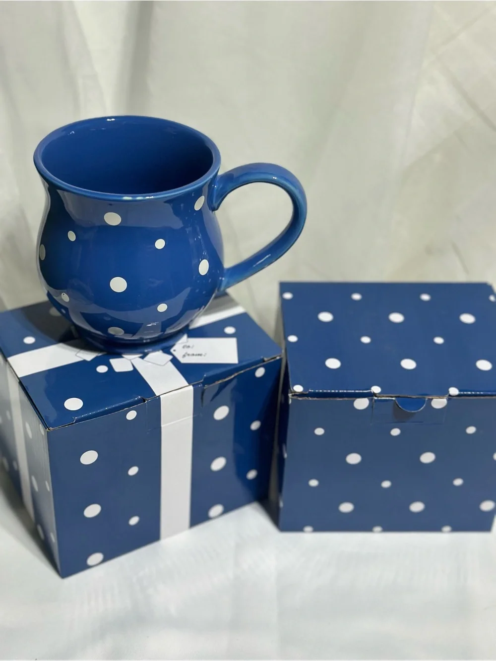 Temp-Tations Blue and White Polka Dot Ceramic Mug